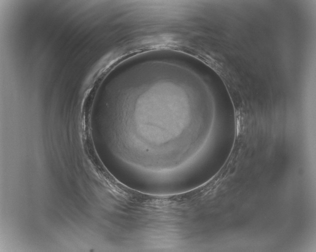 X0000067350339200604071431