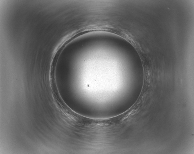 X0000067350340200604071431