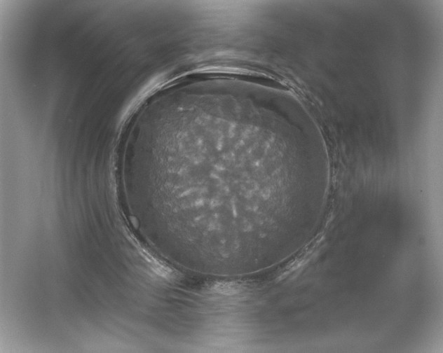 X0000067350341200604071431