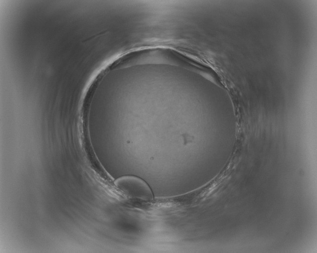 X0000067350342200604071431