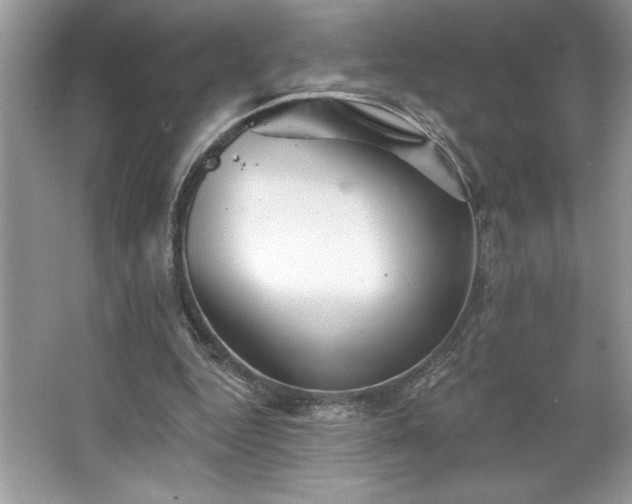 X0000067350344200604071431