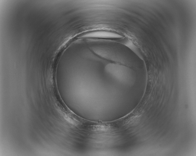 X0000067350347200604071431