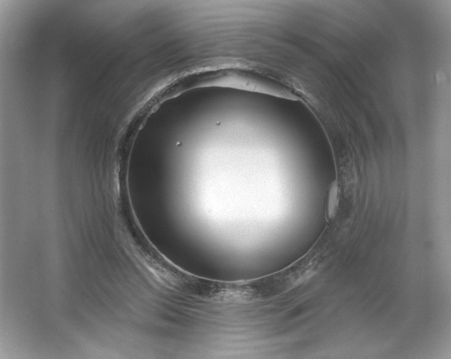 X0000067350350200604071431