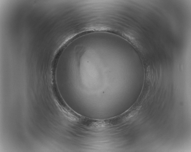 X0000067350351200604071431