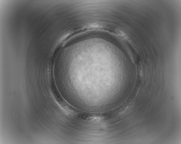 X0000067350352200604071431