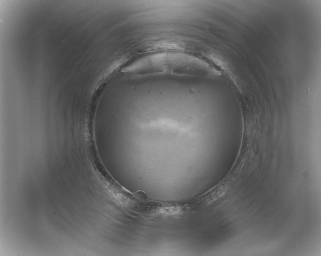 X0000067350353200604071431