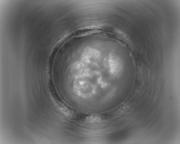 X0000067350354200604071431