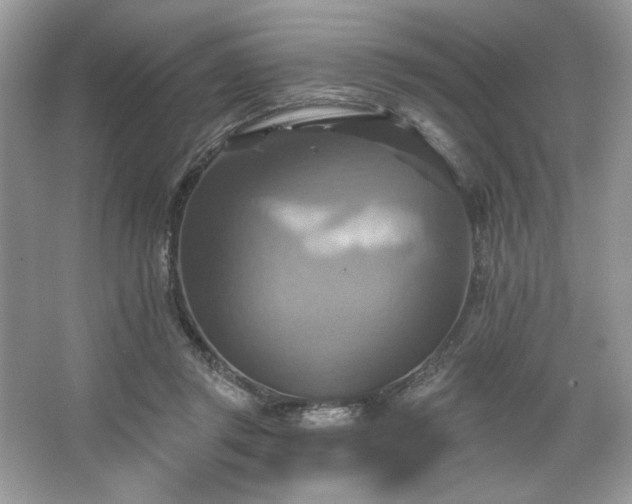 X0000067350357200604071431