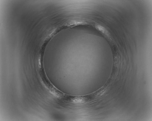 X0000067350358200604071431