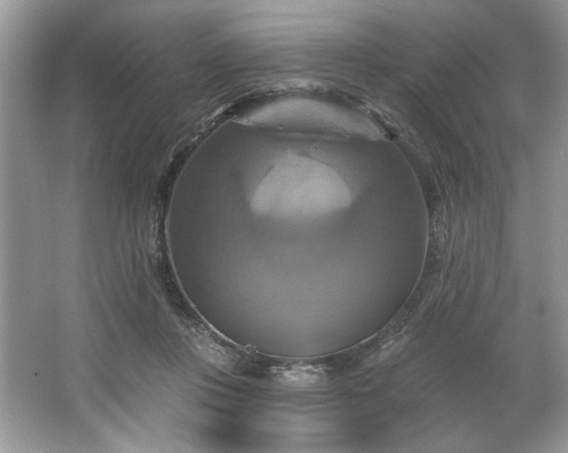 X0000067350359200604071431