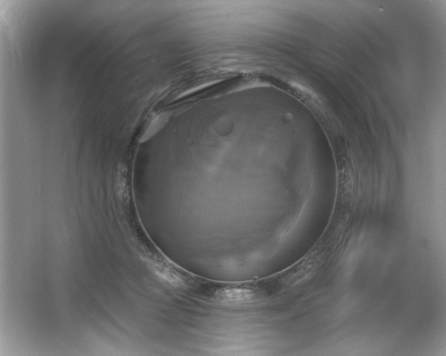 X0000067350361200604071431