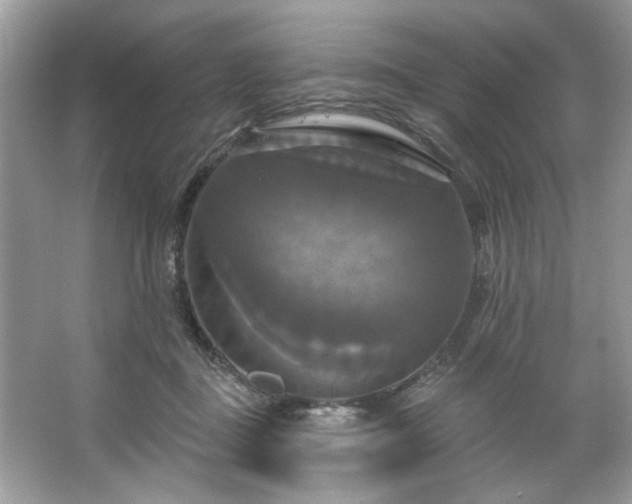 X0000067350363200604071431