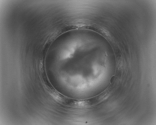 X0000067350365200604071431