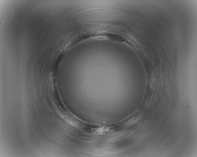 X0000067350366200604071431