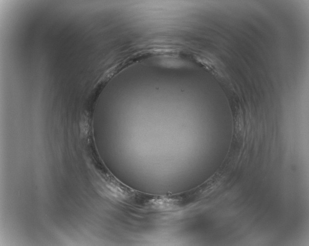 X0000067350367200604071432