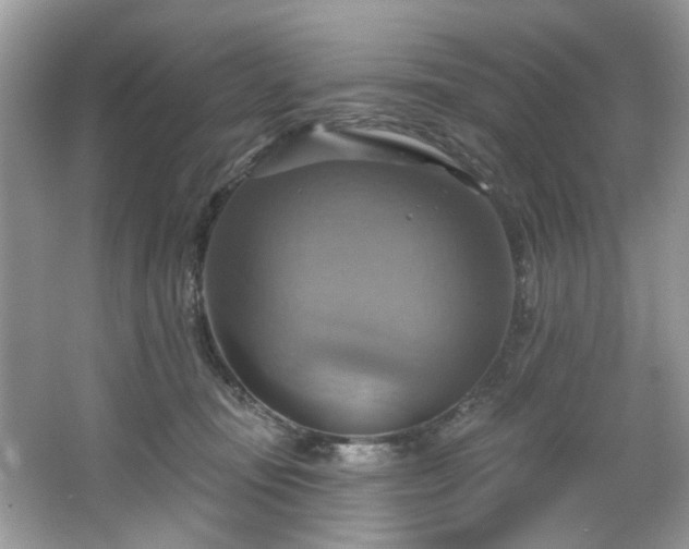 X0000067350371200604071432