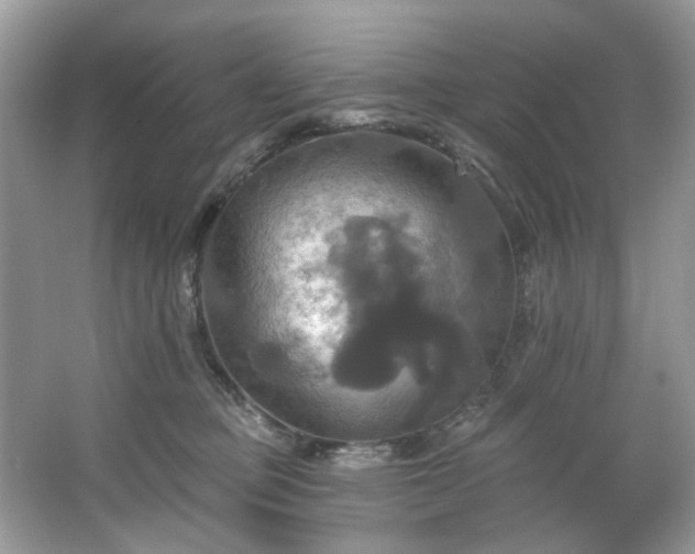 X0000067350373200604071432