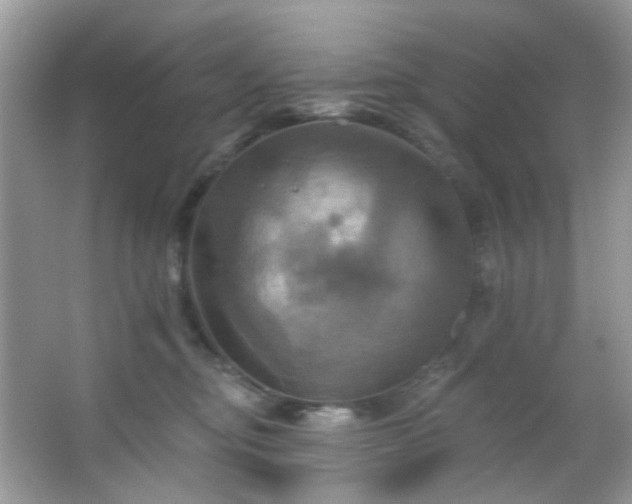 X0000067350374200604071432