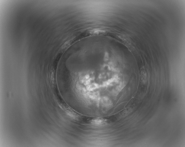 X0000067350375200604071432