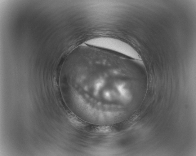 X0000067350377200604071432