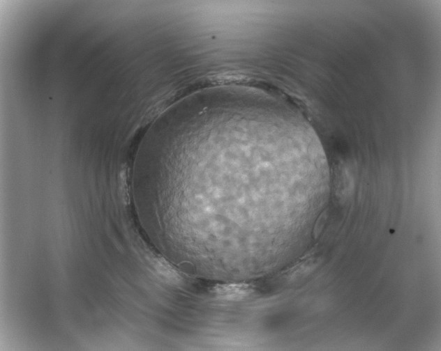 X0000067350378200604071432