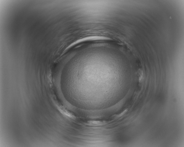 X0000067350380200604071432