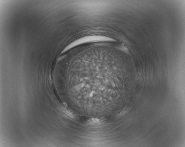 X0000067350381200604071432