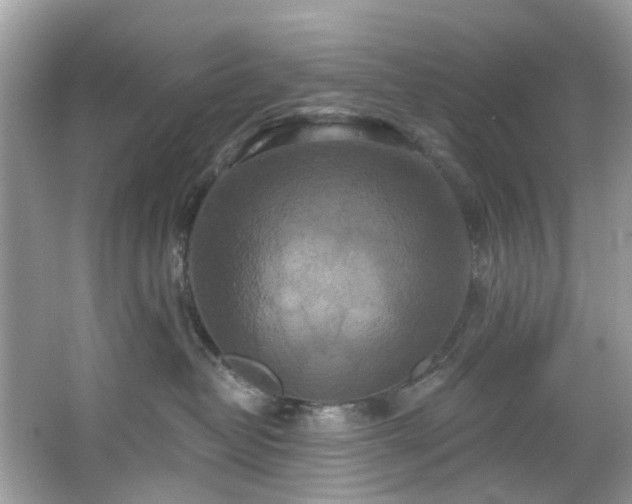 X0000067350382200604071432