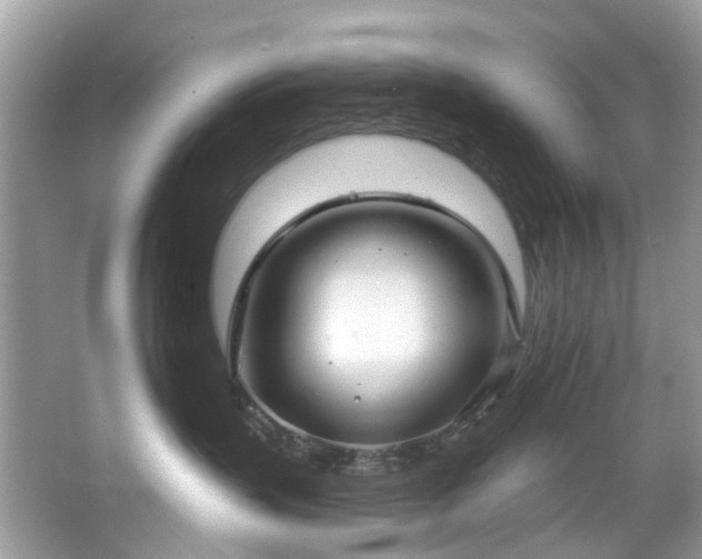 X0000067350383200604071432