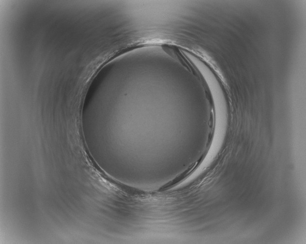 X0000067350385200604071431