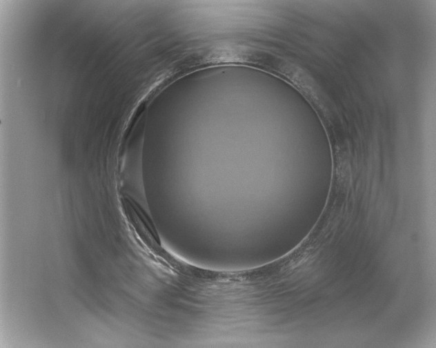 X0000067350386200604071431