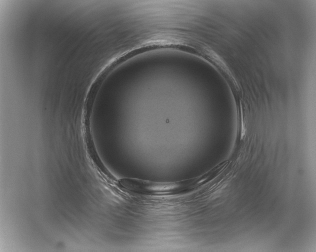 X0000067350387200604071431