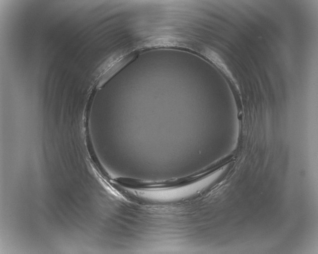 X0000067350389200604071431