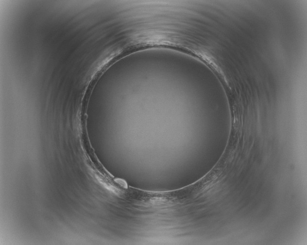 X0000067350390200604071431