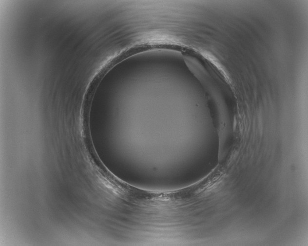 X0000067350391200604071431