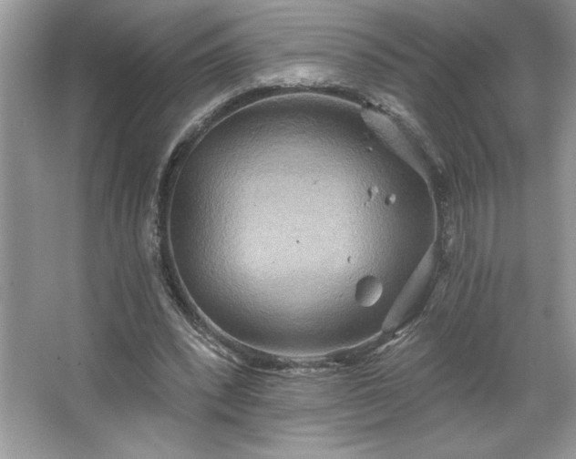 X0000067350392200604071431