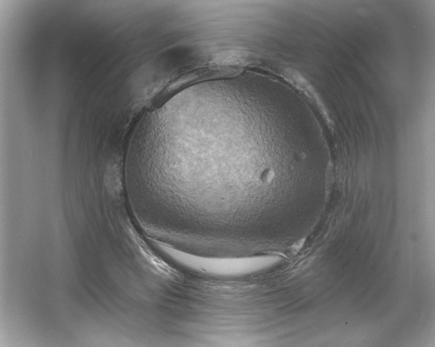 X0000067350393200604071431