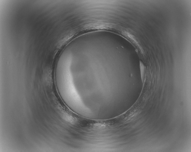 X0000067350394200604071431