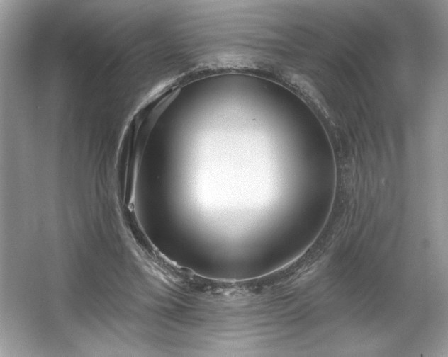 X0000067350395200604071431