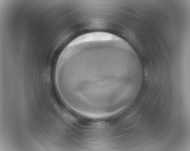 X0000067350396200604071431