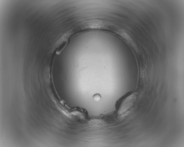 X0000067350397200604071431