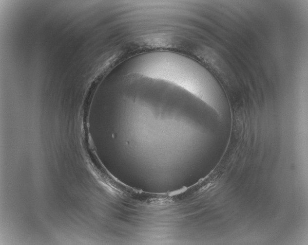 X0000067350398200604071431