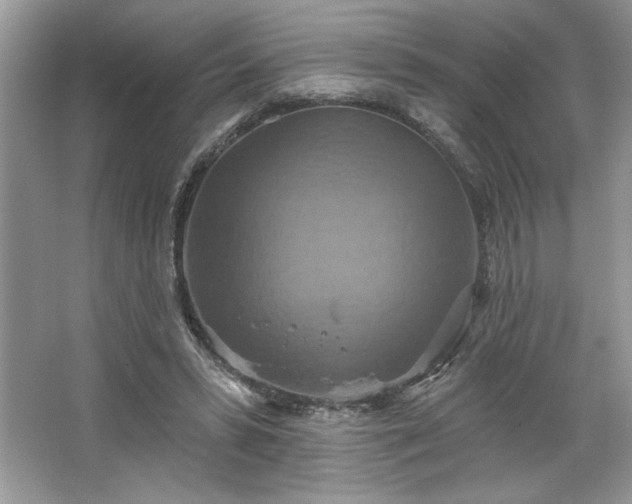 X0000067350399200604071431