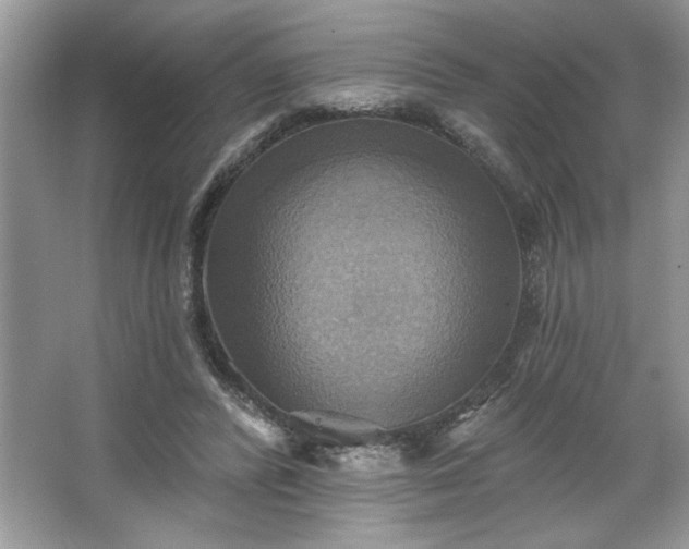 X0000067350400200604071431