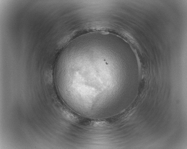 X0000067350401200604071431