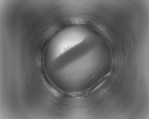 X0000067350402200604071431