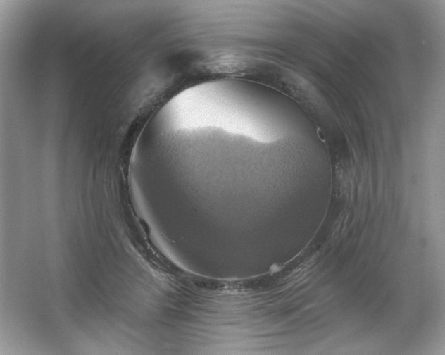 X0000067350404200604071431