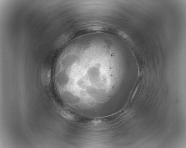 X0000067350406200604071431