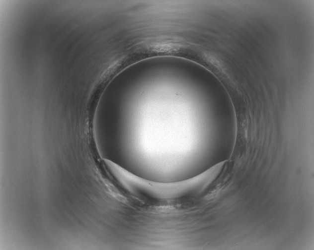 X0000067350407200604071431