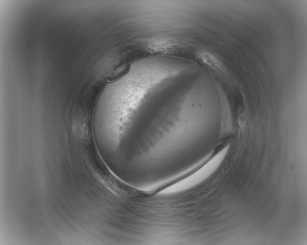 X0000067350408200604071431